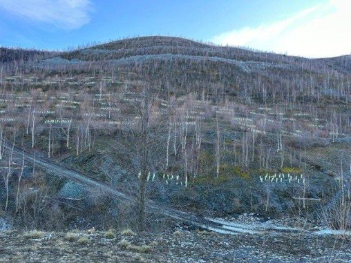 1761663087-1571936_1280x1024